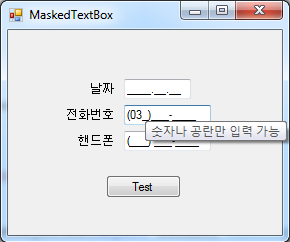 MaskedTextBox 툴팁